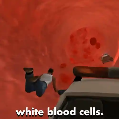 img_2.png